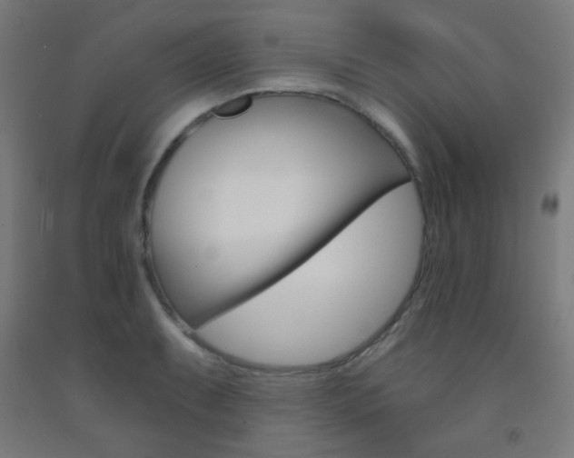 X0000093251087200709261551