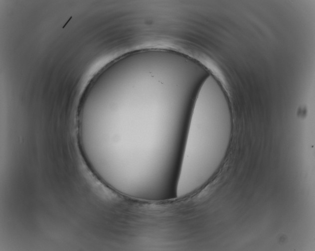 X0000093251088200709261551