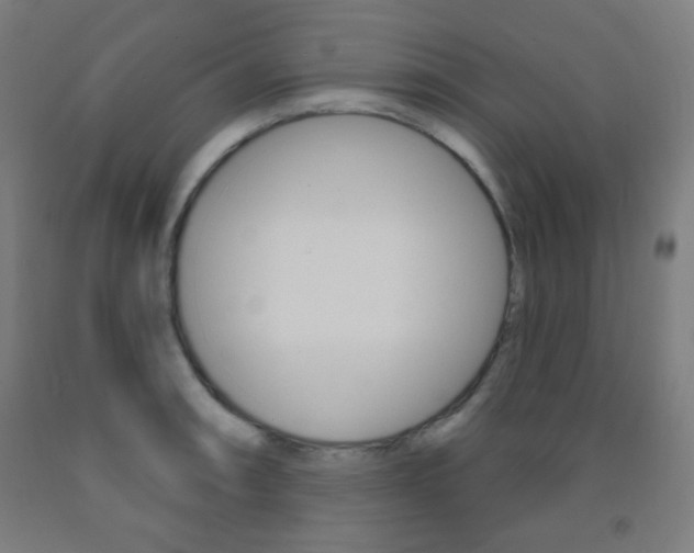 X0000093251090200709261551