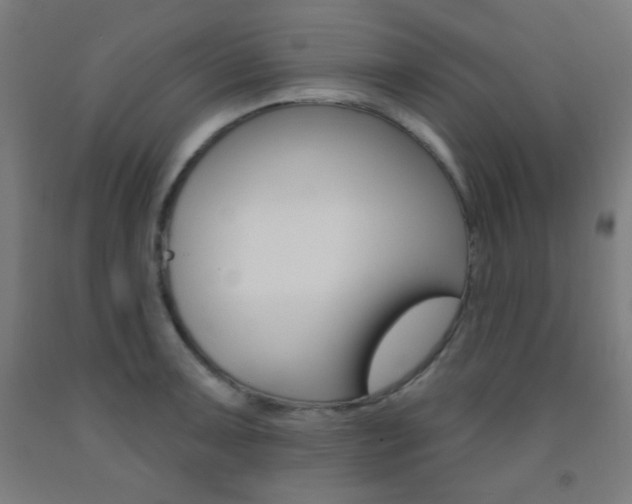 X0000093251091200709261551