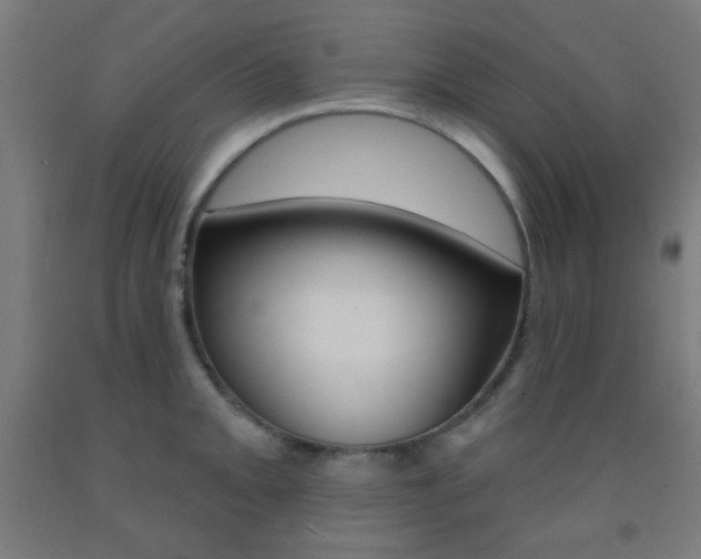 X0000093251093200709261551