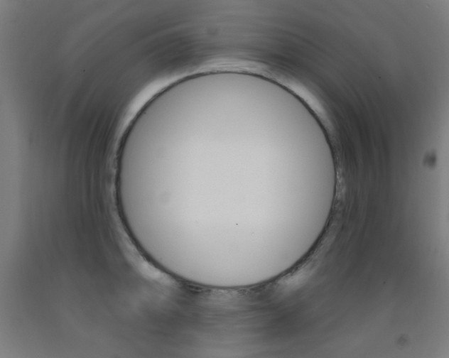 X0000093251094200709261551