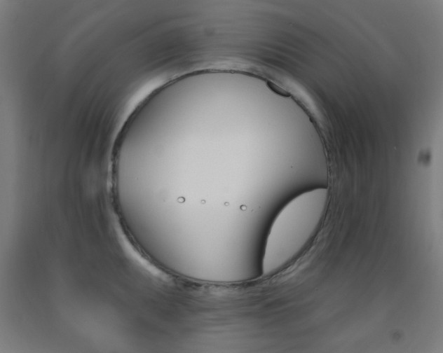 X0000093251095200709261551