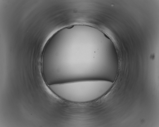 X0000093251100200709261551