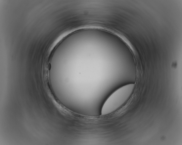 X0000093251101200709261551