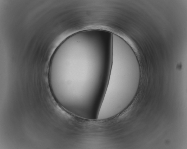 X0000093251102200709261551