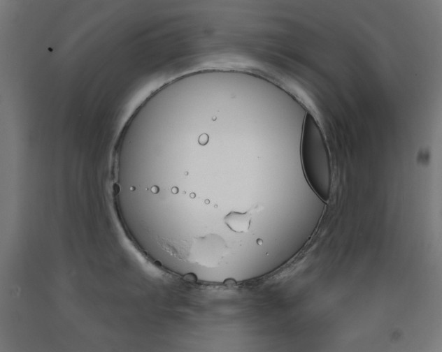 X0000093251103200709261551
