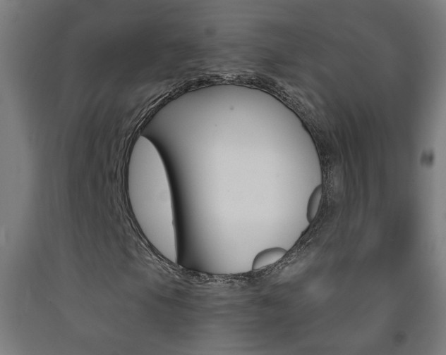 X0000093251105200709261550