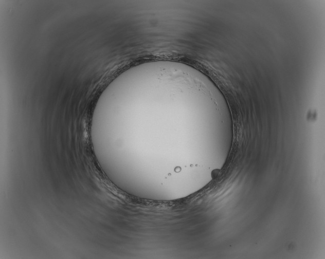 X0000093251106200709261550