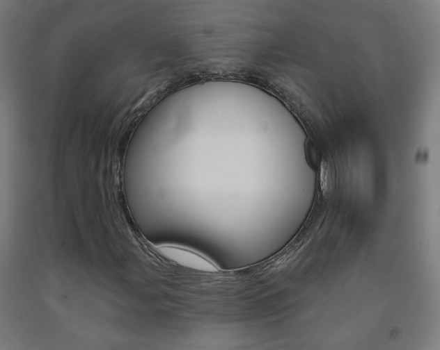 X0000093251107200709261550