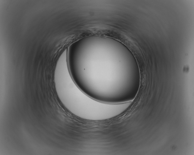X0000093251108200709261550