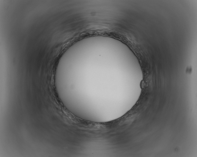 X0000093251109200709261550