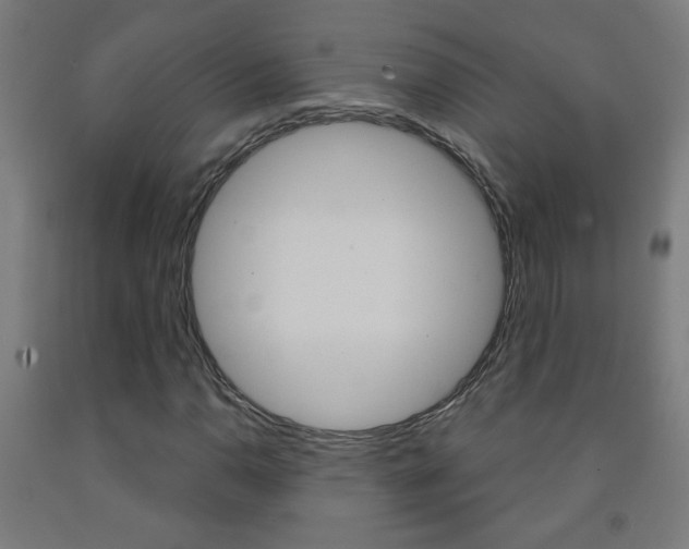X0000093251110200709261550