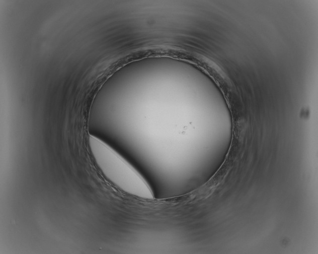 X0000093251111200709261550