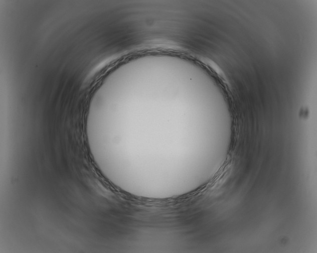X0000093251112200709261550
