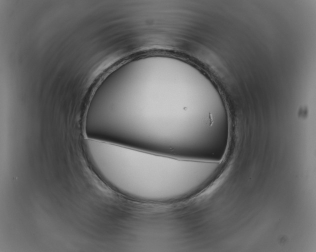 X0000093251113200709261550