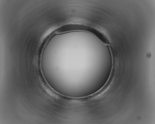 X0000093251114200709261550