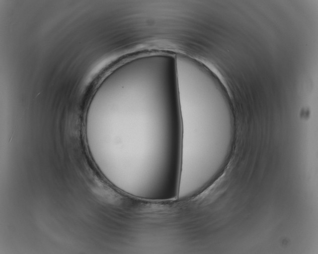 X0000093251115200709261550