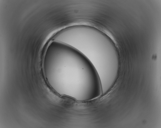 X0000093251116200709261550