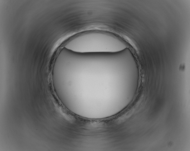 X0000093251117200709261550