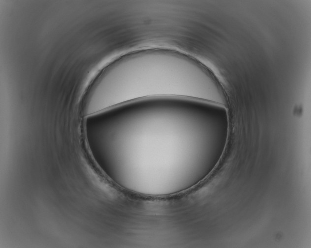 X0000093251118200709261550