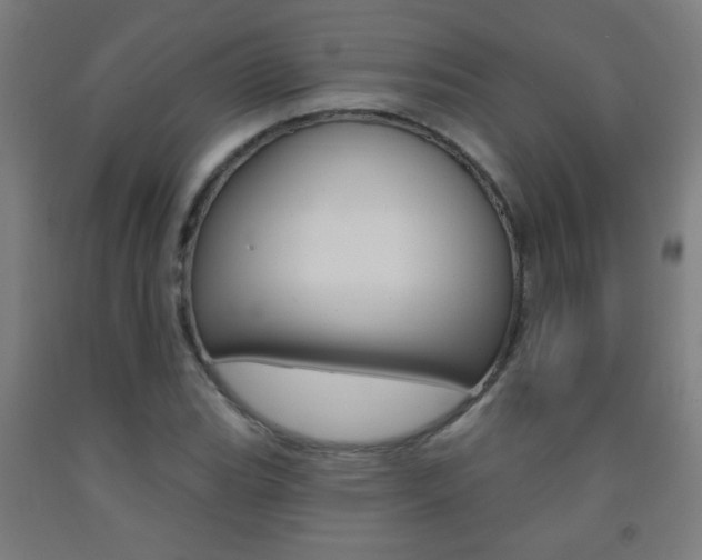 X0000093251119200709261550