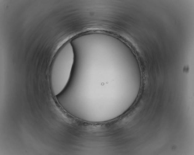 X0000093251121200709261551