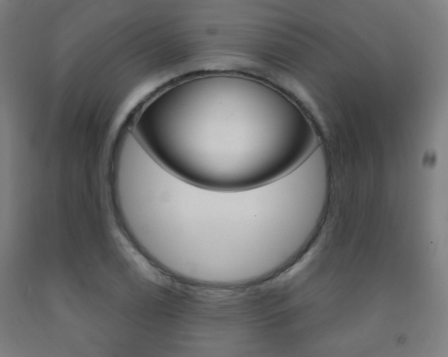 X0000093251122200709261551