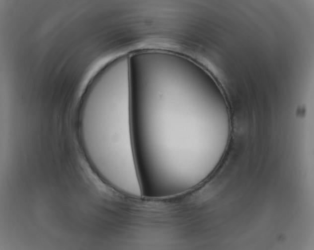 X0000093251123200709261551