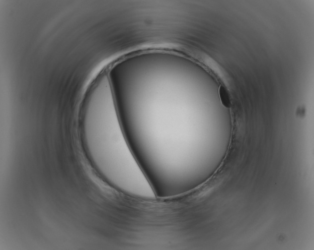 X0000093251124200709261551
