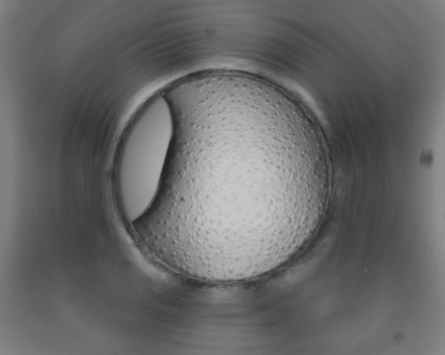 X0000093251125200709261551
