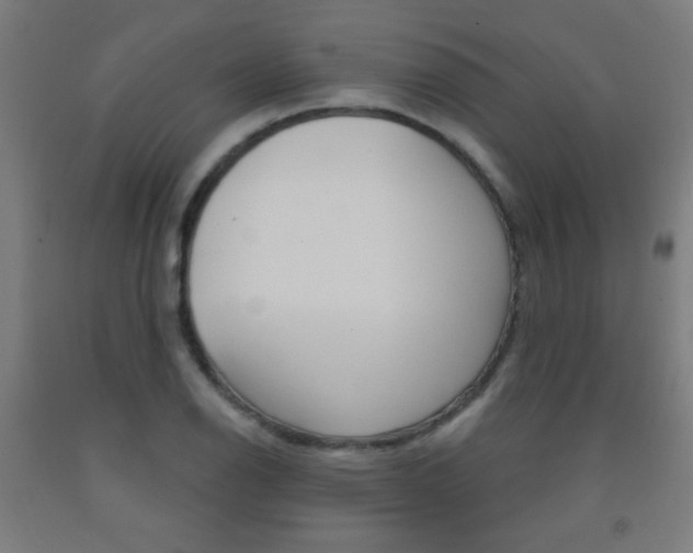 X0000093251126200709261551