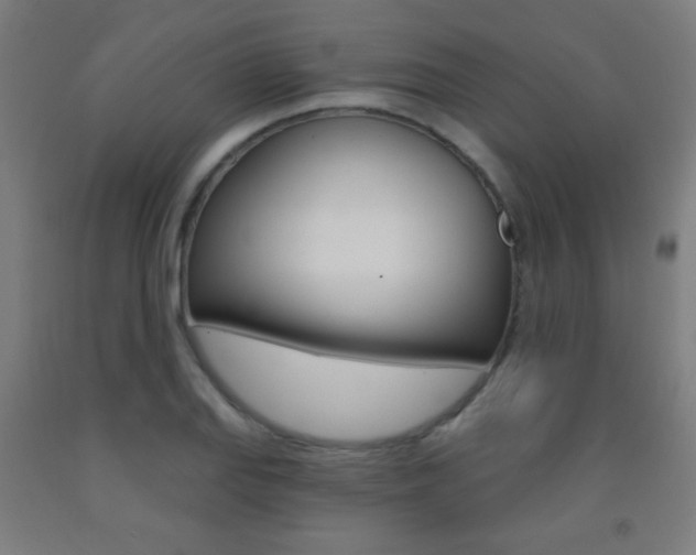X0000093251127200709261551