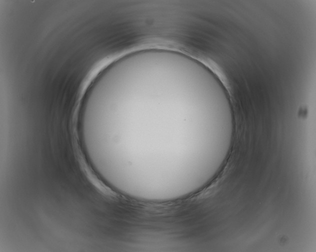 X0000093251128200709261551