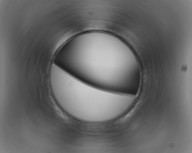 X0000093251129200709261551
