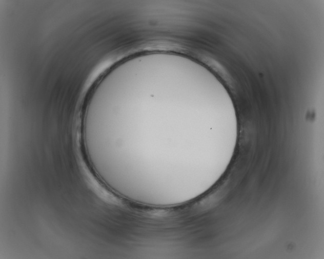 X0000093251130200709261551