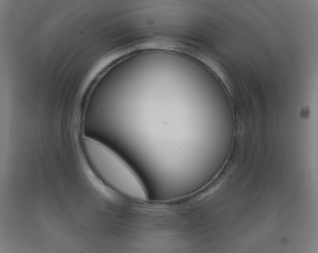 X0000093251131200709261551