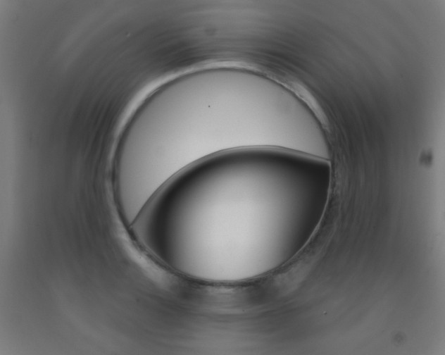 X0000093251132200709261551