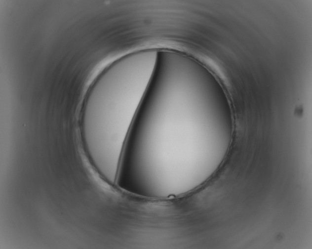 X0000093251133200709261551