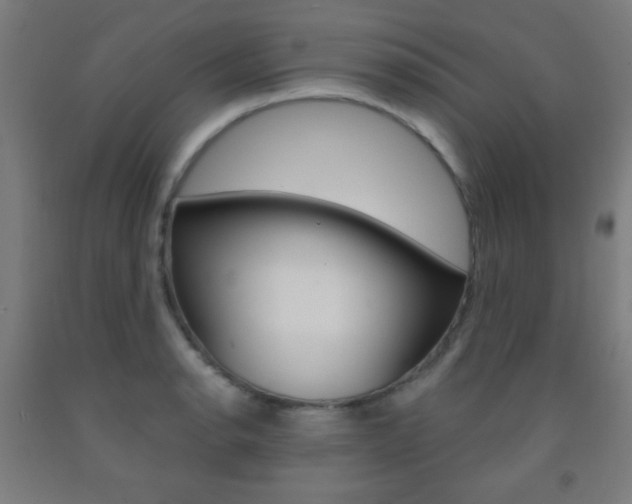 X0000093251134200709261551