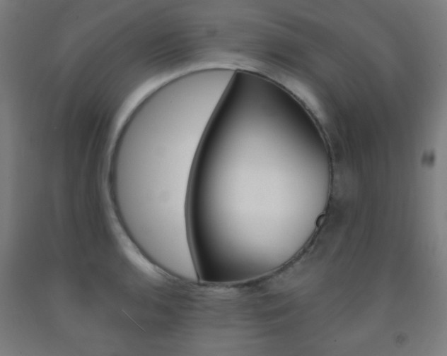 X0000093251136200709261551