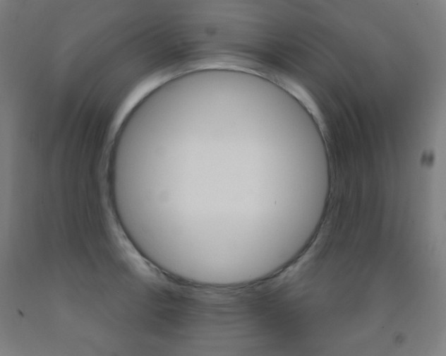X0000093251138200709261551
