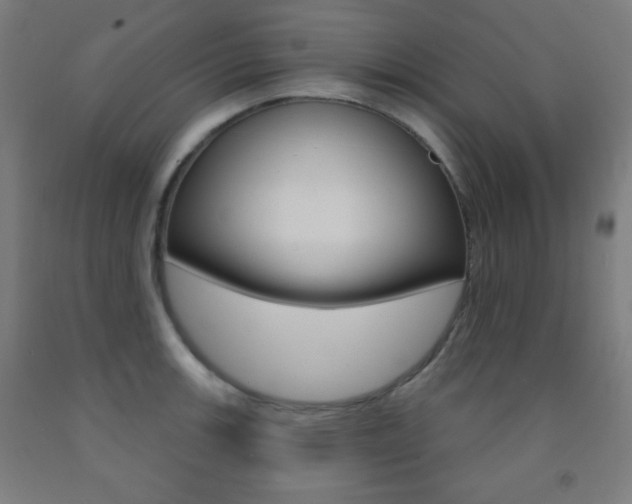 X0000093251139200709261551
