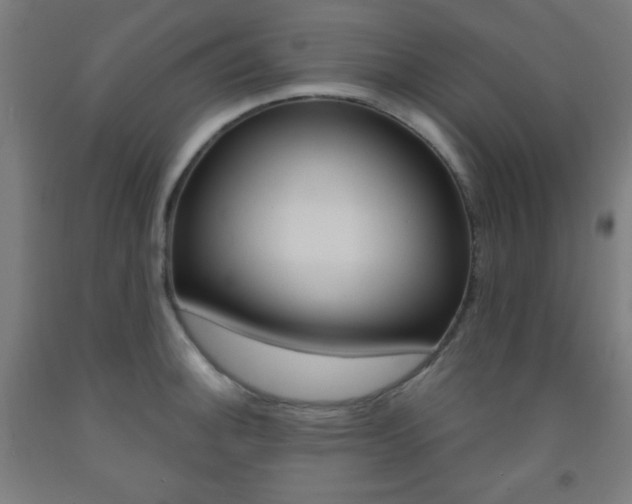 X0000093251140200709261551