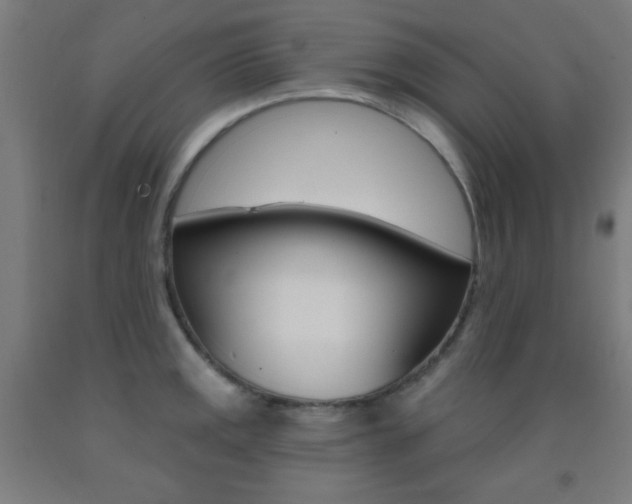 X0000093251141200709261551
