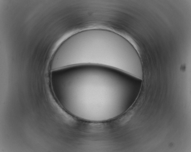 X0000093251142200709261551
