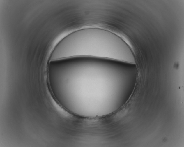 X0000093251143200709261551