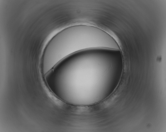 X0000093251144200709261551