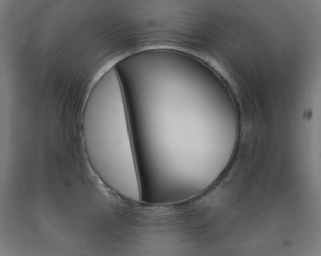 X0000093251145200709261551