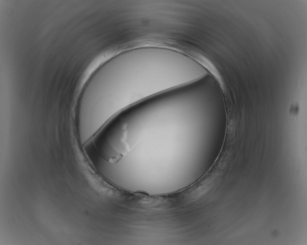 X0000093251146200709261551